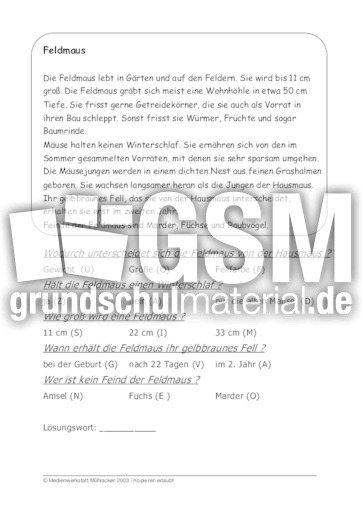 Feldmaus.pdf